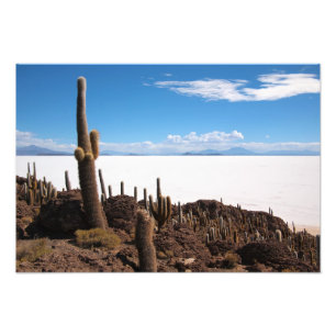 Giante cactus op foto-afdruk Salar de Uyuni Foto Afdruk