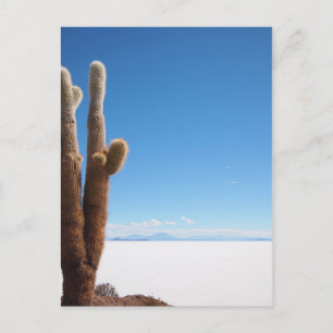 Giante cactus op het briefkaart Salar de Uyuni