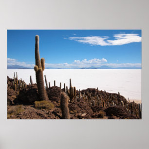Giante cactus op het poster Salar de Uyuni