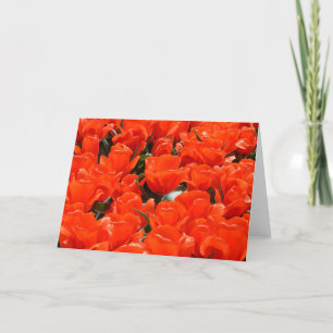 Giante oranje tulpen feestdagen kaart