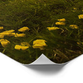 Giante paardenfantasie poster (Hoek)