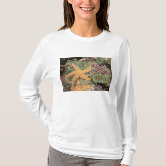 Giantgroene anemonen en ochre zeeen sterren t-shirt (Voorkant)