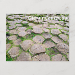 Giant's Causeway Briefkaart