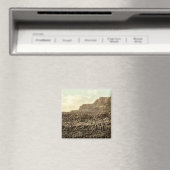 Giant's Causeway, County Antrim Magneet (Insitu (Vaatwasser))