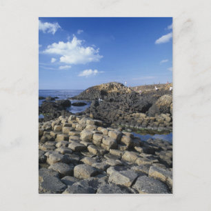 Giants Causeway, County Antrim, Northern Briefkaart