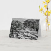 Giant's Causeway Wenskaart Kaart (Gele Bloem)