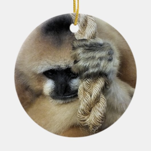 GIBBON KERAMISCH ORNAMENT (Voorkant)