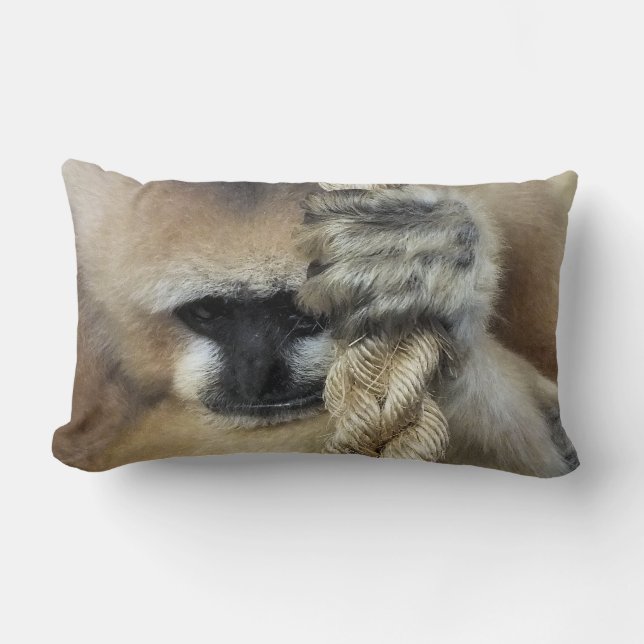 GIBBON KUSSEN (Voorkant)