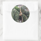 Gibbon Monkey die gewoon rondhangt.. Ronde Sticker (Tas)