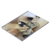 GIBBON NOTITIEBOEK (Linkerzijde)