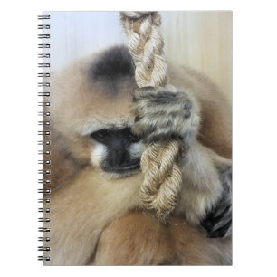 GIBBON NOTITIEBOEK
