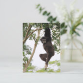 Gibbon Swling from Tree Briefkaart (Staand voorkant)