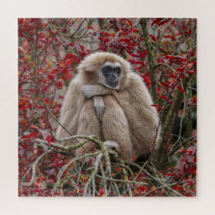 Gibbon's eenzaamheid legpuzzel