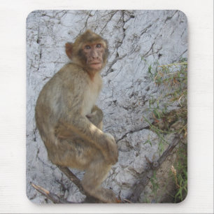 Gibraltar Monkey mousepad Muismat