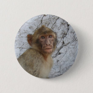 Gibraltar Monkey-toets Ronde Button 5,7 Cm