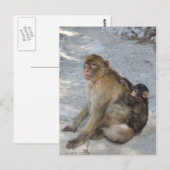 Gibraltar Monkeys briefkaart, pas aan Briefkaart (Voorkant / Achterkant)