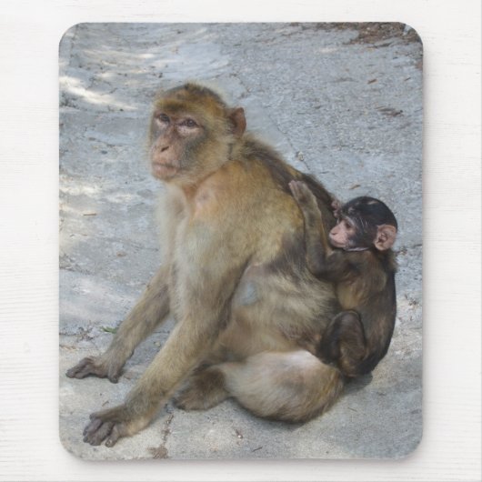 Gibraltar Monkeys mousepad Muismat (Voorkant)