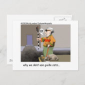 Gids kattenkastjes en verzamelobjecten briefkaart (Voorkant / Achterkant)