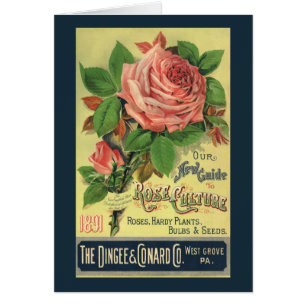  Gids voor Roos Cultuur Boek Hoesje Art, 1891