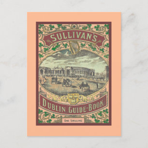  gids voor toeristen in Dublin Ierland Briefkaart