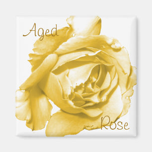 Giepte Roos Square Magnet Magneet
