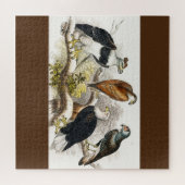 gier legpuzzel (Horizontaal)