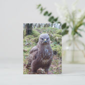 Gier met Houding Feestdagenkaart (Staand voorkant)