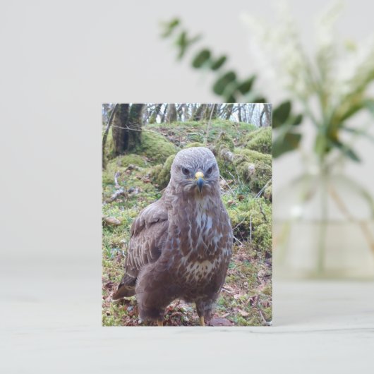 Gier met Houding Feestdagenkaart (Staand voorkant)