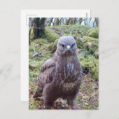 Gier met Houding Feestdagenkaart (Voorkant / Achterkant)