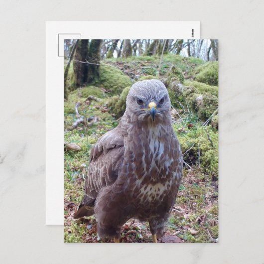 Gier met Houding Feestdagenkaart (Voorkant / Achterkant)