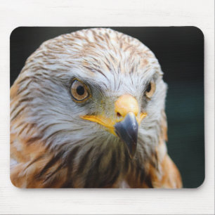 gier, woestijngier, vogel muismat