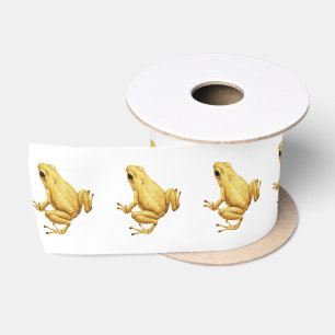 Gifpijlkikker Lint