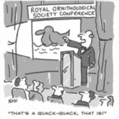 Gift for a Bird Watcher of Birder. Grappig Sticker (Voorkant)