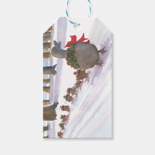 Gift Label Ducks at Boston Common tijdens Feestdag Cadeaulabel (Voorkant)