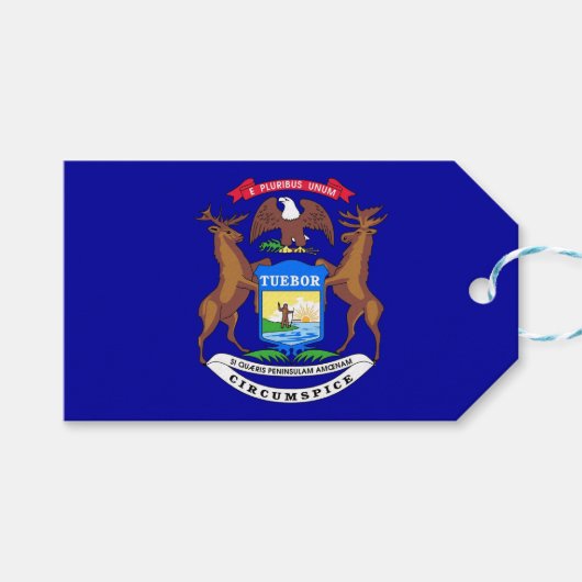 Gift Label met vlag van Michigan State, VS Cadeaulabel (Voorkant (Horizontaal))