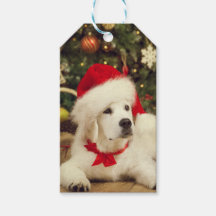 GIFT LABEL WHITE Labrador recovery MET Santa hat
