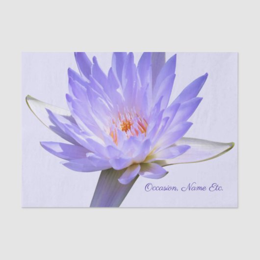 Gift Wrap van het Weefselpapier van de waterLily L Tissuepapier (Voorkant)