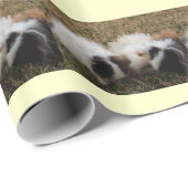 Gift Wrappapier voor cavia's Cadeaupapier (Rol Hoek)