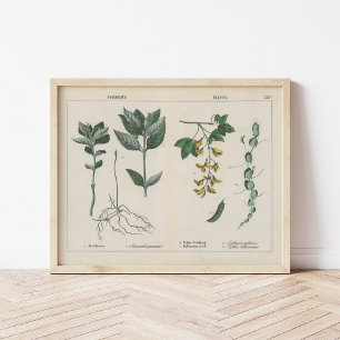 Giftige Planten   Charlotte Mary Yonge Poster