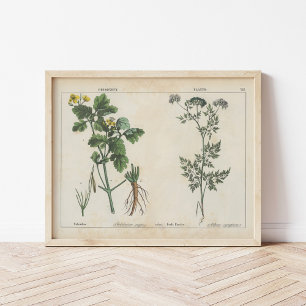 Giftige Planten   Charlotte Mary Yonge Poster