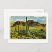 Gigantische Cactus in het woestijnlandschap van he Briefkaart (Voorkant / Achterkant)