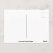 Gigantische Cactus in het woestijnlandschap van he Briefkaart (Achterkant)