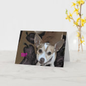 GiGi!!! , 50? Kaart (Gele Bloem)