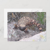Gila Monster Briefkaart (Voorkant / Achterkant)