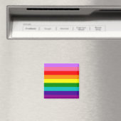 Gilbert Baker’s 9-Stripe Rainbow Flag Magneet (Insitu (Vaatwasser))