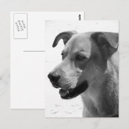 Gilbert Briefkaart (Voorkant / Achterkant)