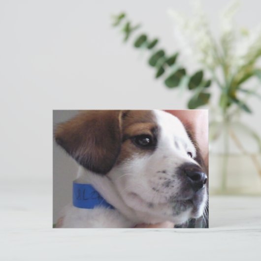 Gilbert Briefkaart (Staand voorkant)