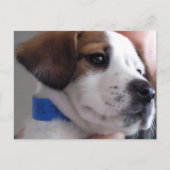 Gilbert Briefkaart (Voorkant)