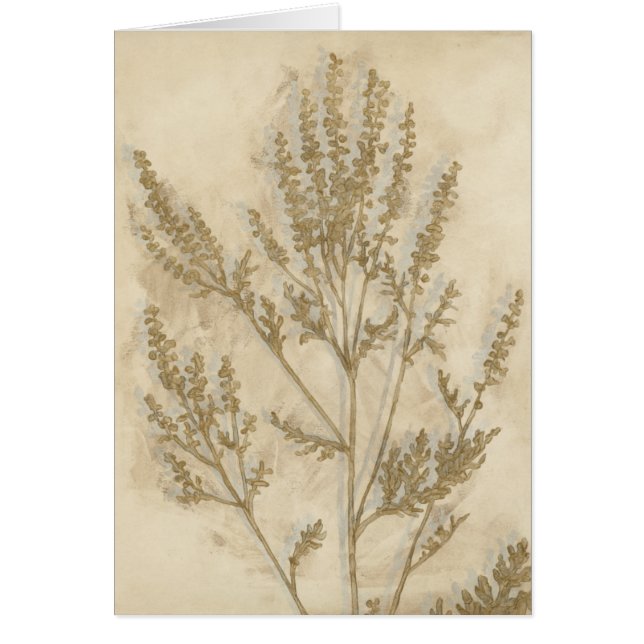 Gilded Foliage II (Voorkant)