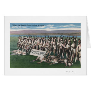 Gillette, WY - où l'antilope errent